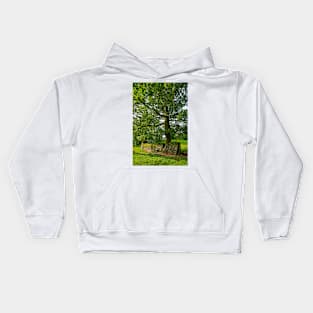 Tree with Dry Stone Wall Kids Hoodie